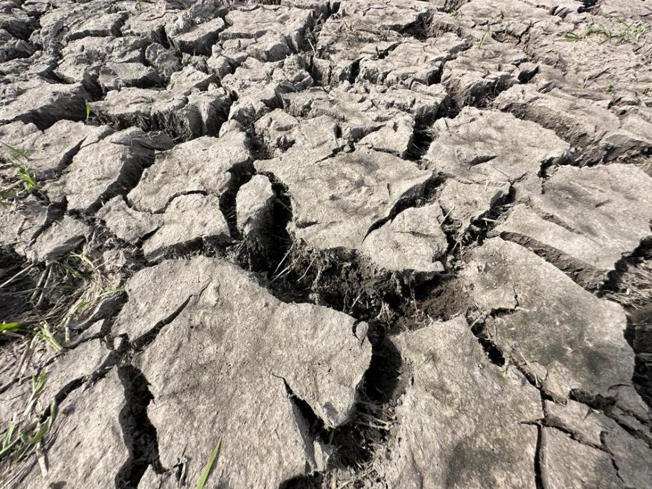 Se agrava la sequía en el sur