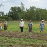 Desafíos para las agroindustrias