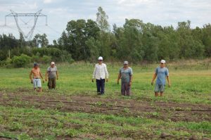 Desafíos para las agroindustrias