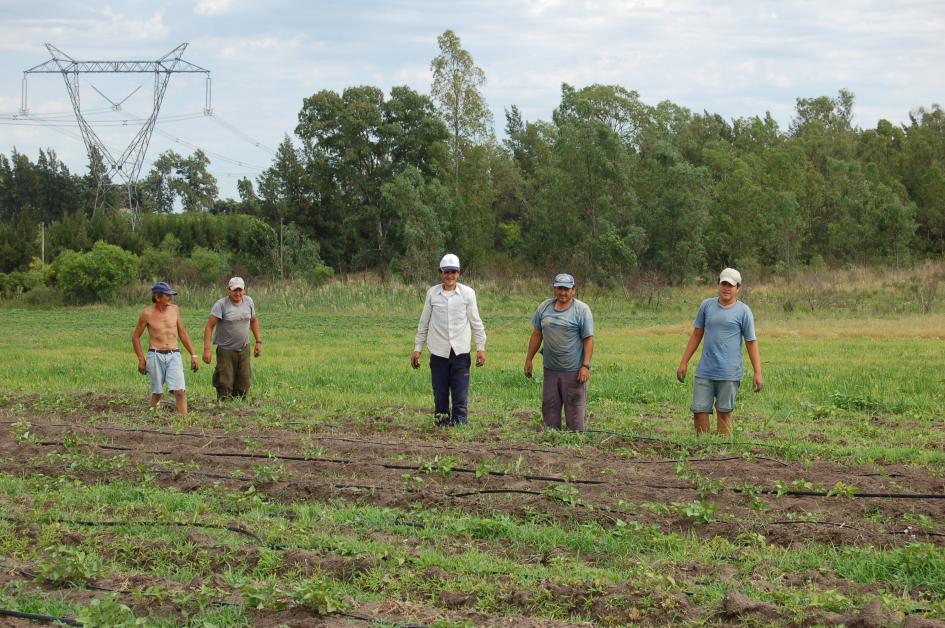 Desafíos para las agroindustrias