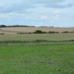 Subió el precio de la tierra: 4.178 U$S/ha