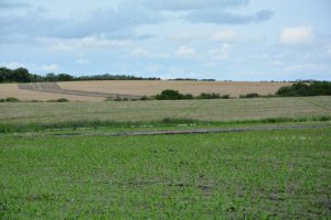 Subió el precio de la tierra: 4.178 U$S/ha