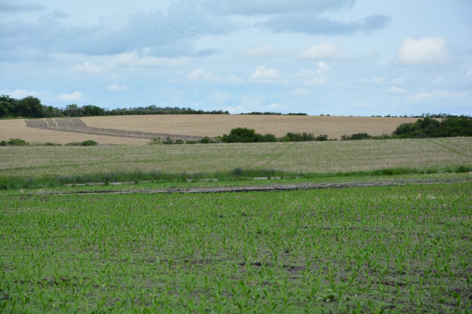 Subió el precio de la tierra: 4.178 U$S/ha