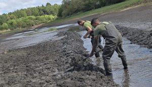 Ejército Nacional ayuda a OSE en limpieza de cursos de agua en Minas para reforzar caudal ante déficit hídrico