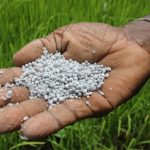 China suspende las exportaciones de fertilizantes por la guerra