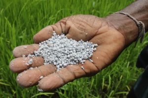 China suspende las exportaciones de fertilizantes por la guerra