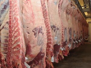 China suspende frigorífico y productores alertan por residuos de garrapaticidas en la carne
