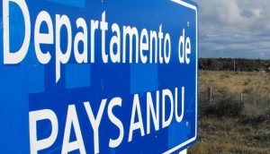 Master plan logístico para Paysandú: una apuesta a convertir el litoral en un hub regional