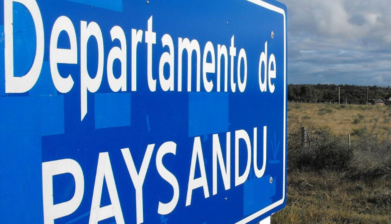 Master plan logístico para Paysandú: una apuesta a convertir el litoral en un hub regional