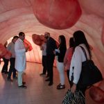 Médicos recomiendan realizarse test para prevenir cáncer de colon 