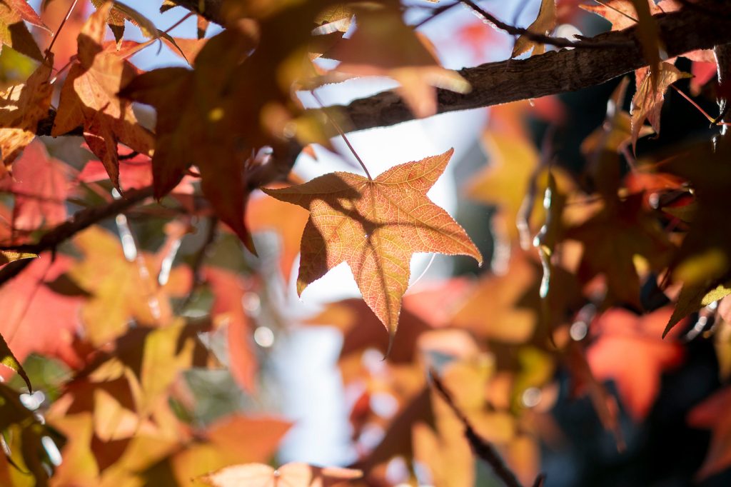 Pronóstico del tiempo de José María Rodríguez