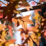 Pronóstico del tiempo de José María Rodríguez