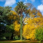 Pronóstico del tiempo de José María Rodríguez