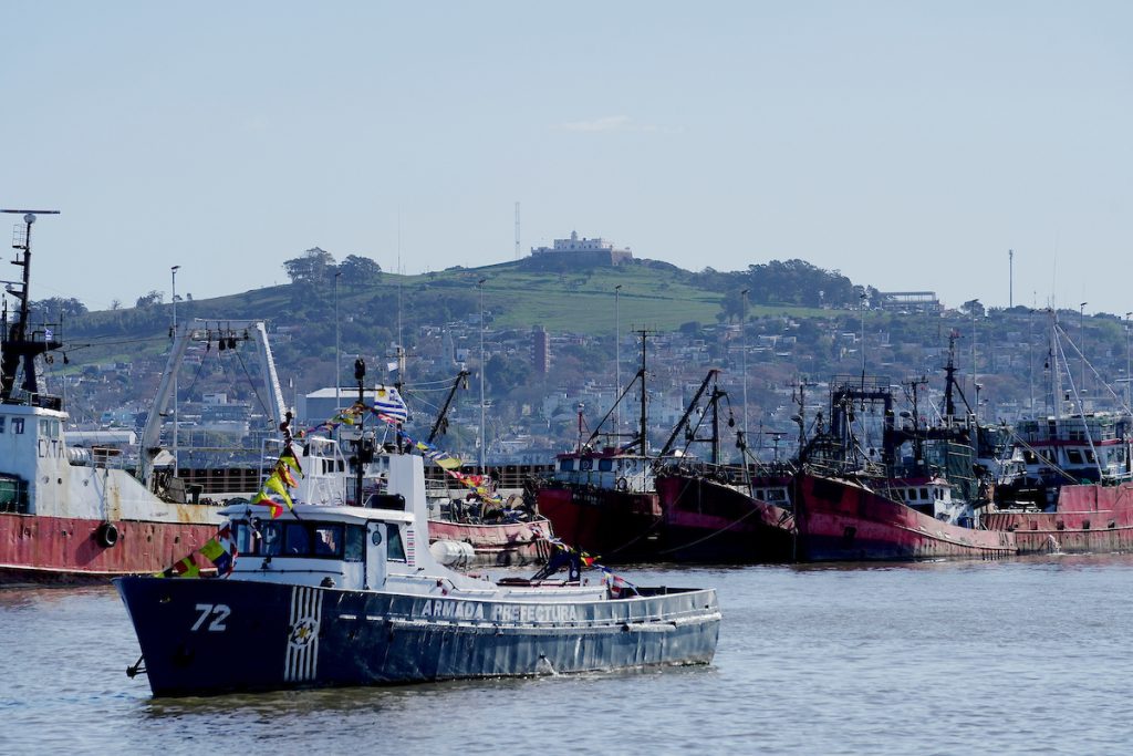 Cámara de Industrias Pesqueras espera respuesta del gobierno; Ancap les subió 83% precio del gasoil a barcos