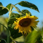 Pronóstico del tiempo de José María Rodríguez