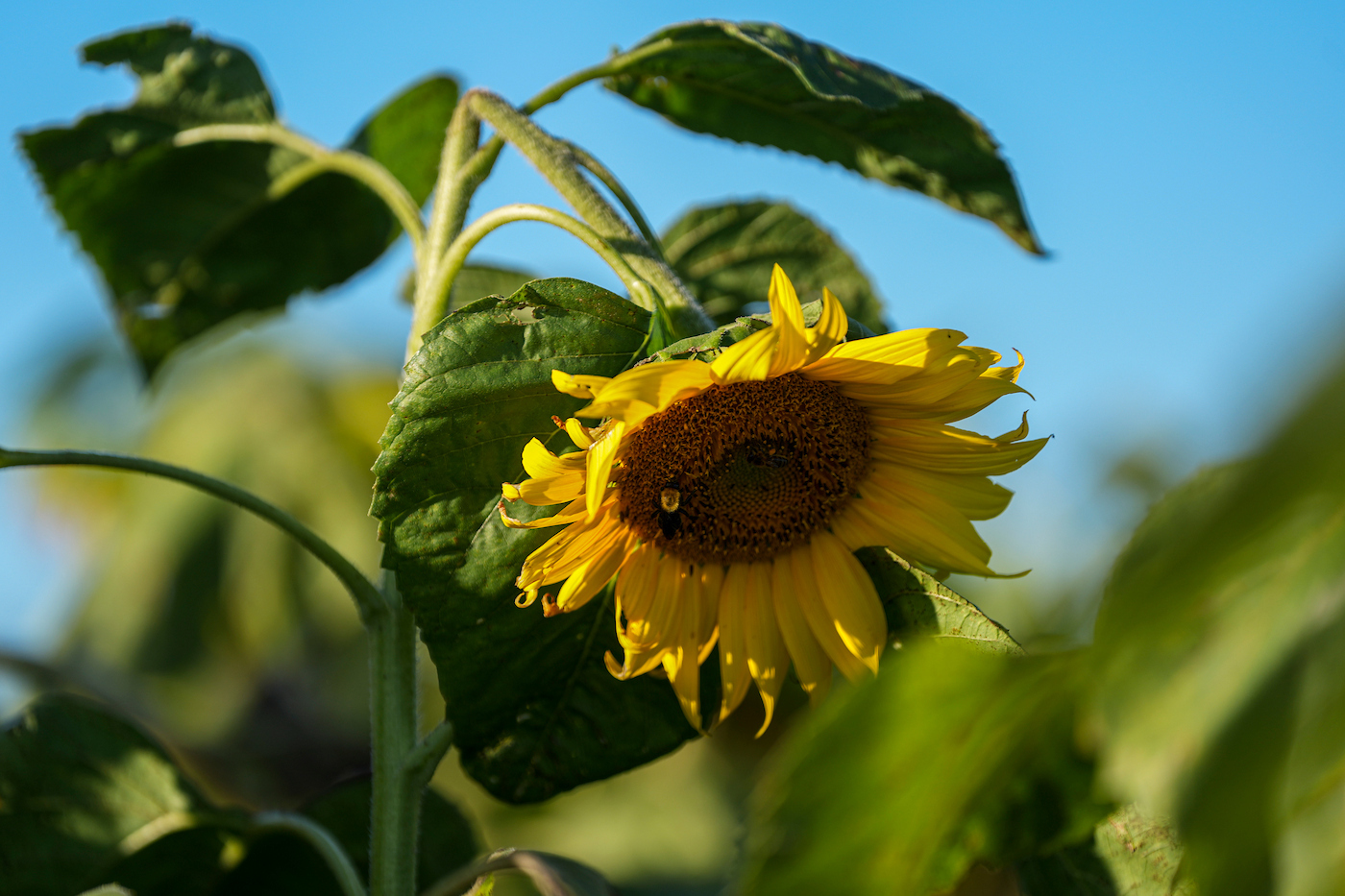 Pronóstico del tiempo de José María Rodríguez