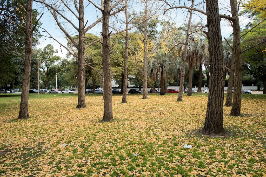 Pronóstico del tiempo de José María Rodríguez