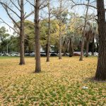 Pronóstico del tiempo de José María Rodríguez
