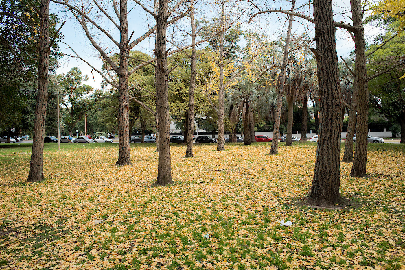 Pronóstico del tiempo de José María Rodríguez