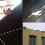 Tras el temporal, alumnos de la escuela rural Nº 44 del paraje Víboras en Colonia fueron reubicados para asegurar la continuidad de clases