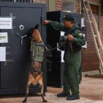 Encontraron pasaporte y teléfono celular en caja fuerte de Marset
