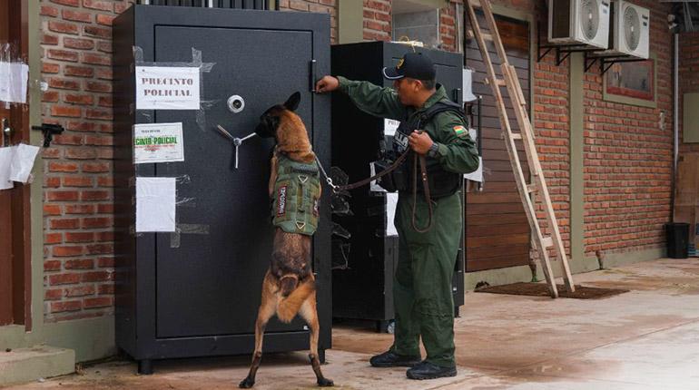 Encontraron pasaporte y teléfono celular en caja fuerte de Marset