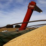 El corral mantiene una ecuación positiva en el arranque de la cuota 481