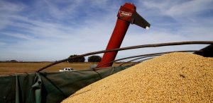 El corral mantiene una ecuación positiva en el arranque de la cuota 481