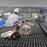 Precio récord de exportación de carne vacuna