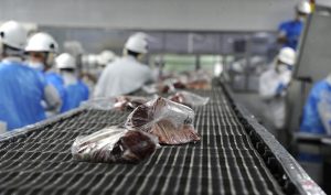 Precio récord de exportación de carne vacuna