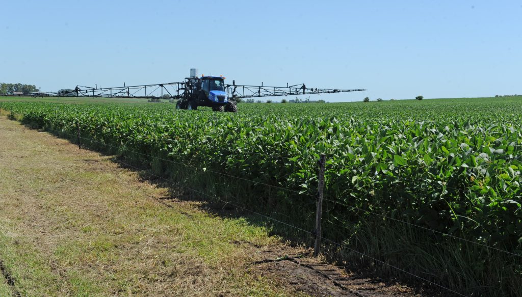 Firmes los precios de la soja y la colza