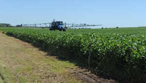 Firmes los precios de la soja y la colza