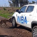 Parlamento analiza reformar el INBA para darle mayor autonomía y fortalecer el bienestar animal