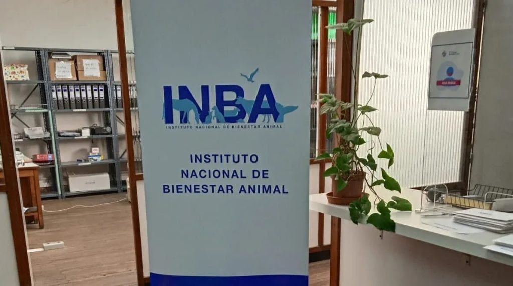 Diputada Echenique cuestiona reforma del INBA y advierte: “La solución no es separarlo del MGAP, sino fortalecerlo”