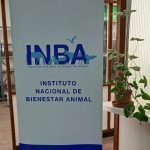 Diputada Echenique cuestiona reforma del INBA y advierte: “La solución no es separarlo del MGAP, sino fortalecerlo”