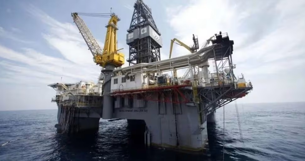 Prospección sísmica: experto advierte impactos en fauna marina y cuestiona falta de estudios previos