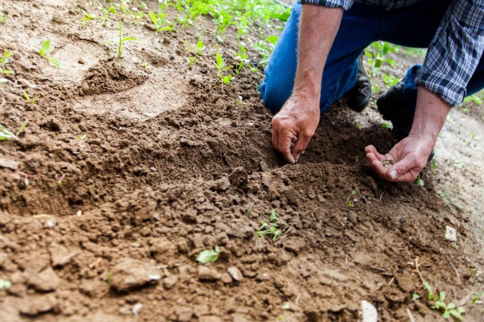 Día del trabajador rural: cuántos son y cuál fue la evolución