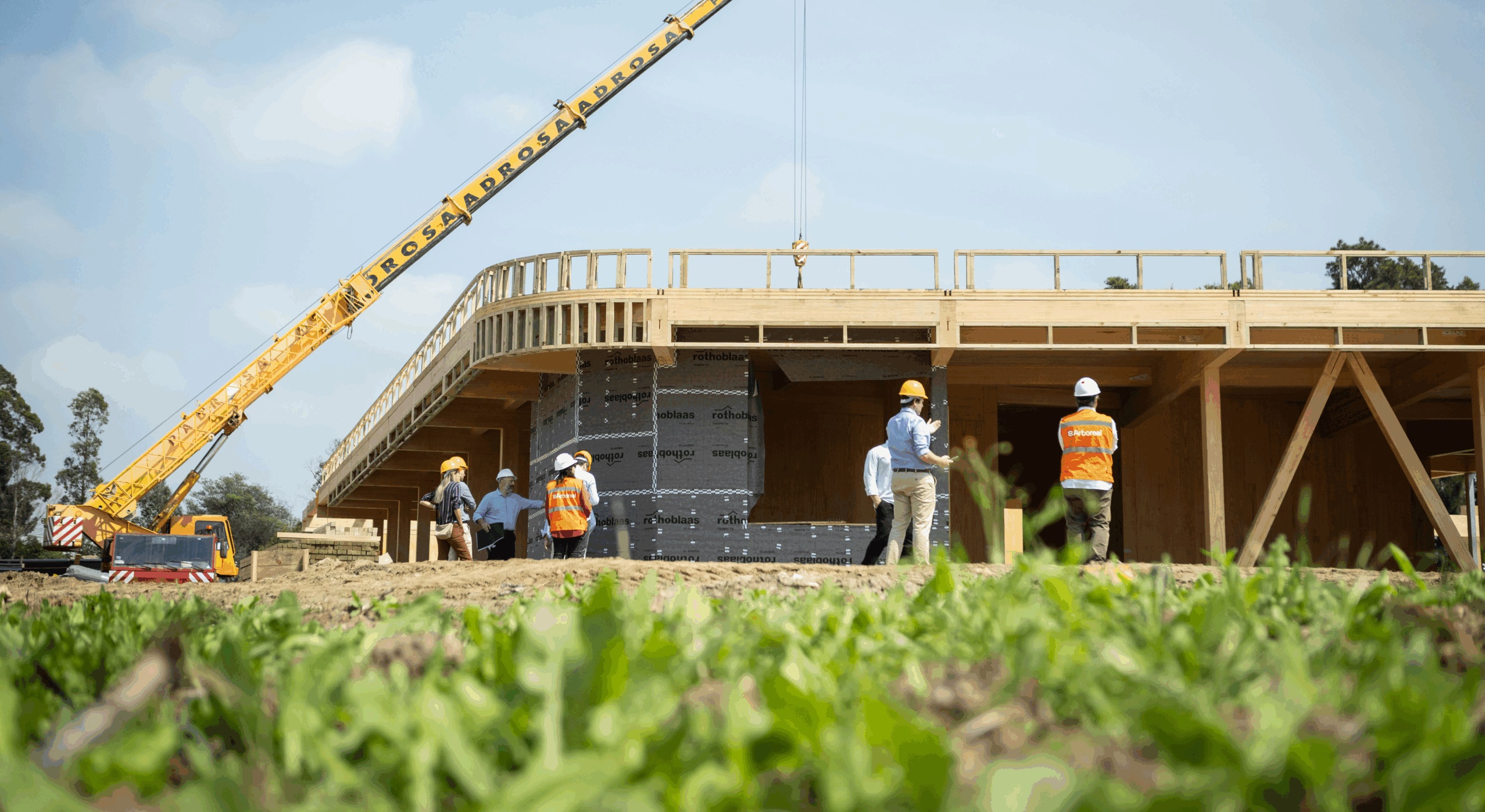 Banco Mundial invierte en Arboreal, empresa maderera enfocada en construcción sostenible