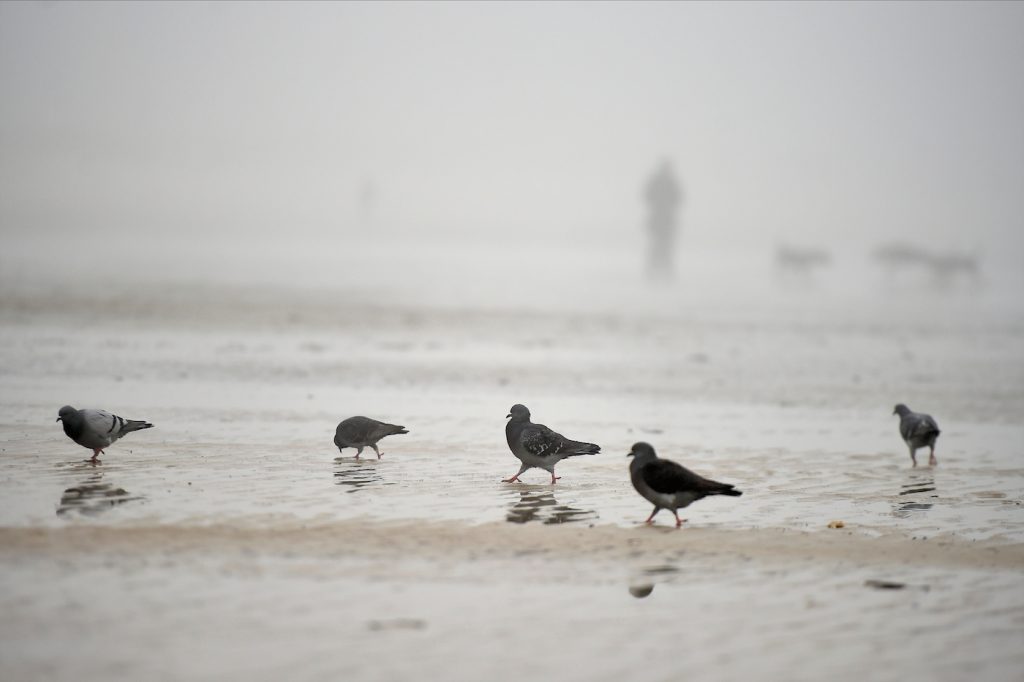 Pronóstico del tiempo de José María Rodríguez
