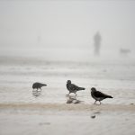 Pronóstico del tiempo de José María Rodríguez