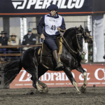 Paysandú celebró el título mundial del caballo criollo Colibrí Matrero en la Rural del Prado