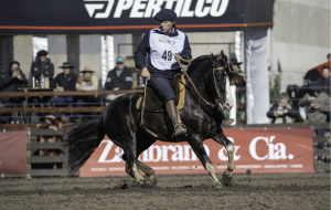 Paysandú celebró el título mundial del caballo criollo Colibrí Matrero en la Rural del Prado
