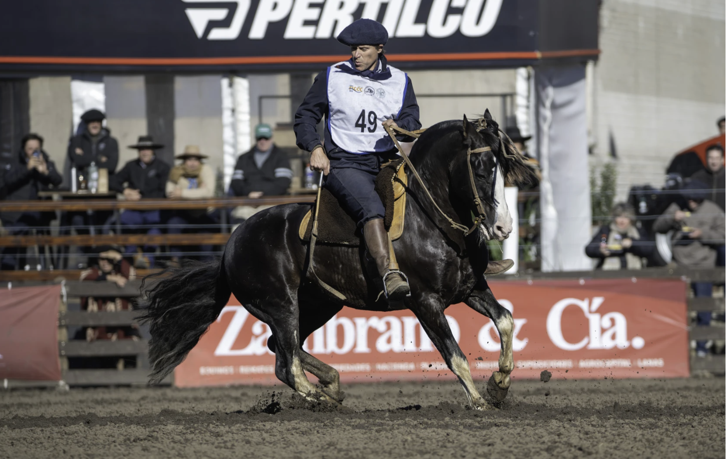 Paysandú celebró el título mundial del caballo criollo Colibrí Matrero en la Rural del Prado