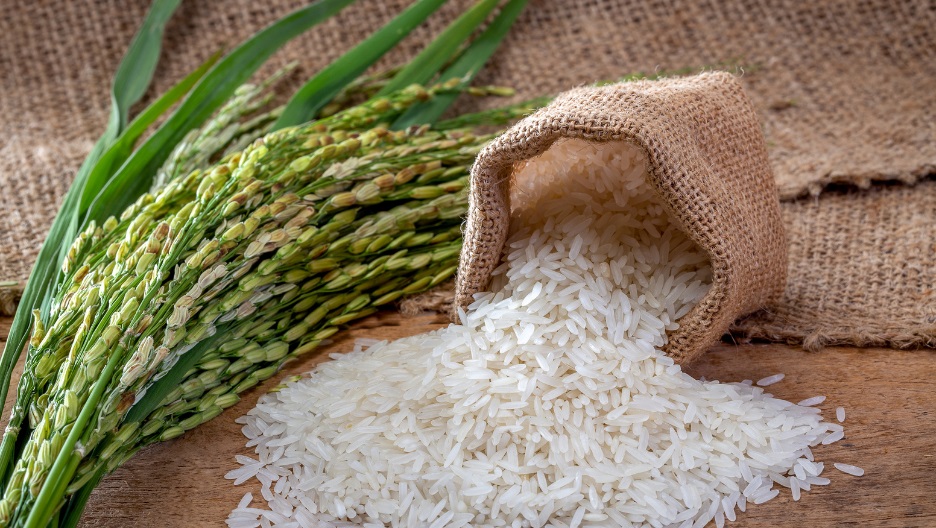 Uruguay tomó la mayoría de la cuota europea de arroz