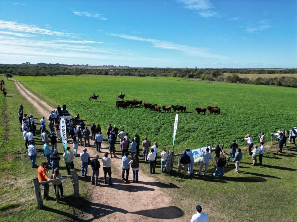 Biogénesis Bagó recorre la Gira Brangus 2026 junto al productor y refuerza su compromiso con la sanidad y la productividad ganadera