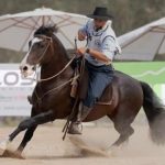 Del 3 al 10 de mayo, Uruguay recibe el Mundial de Caballos Criollos