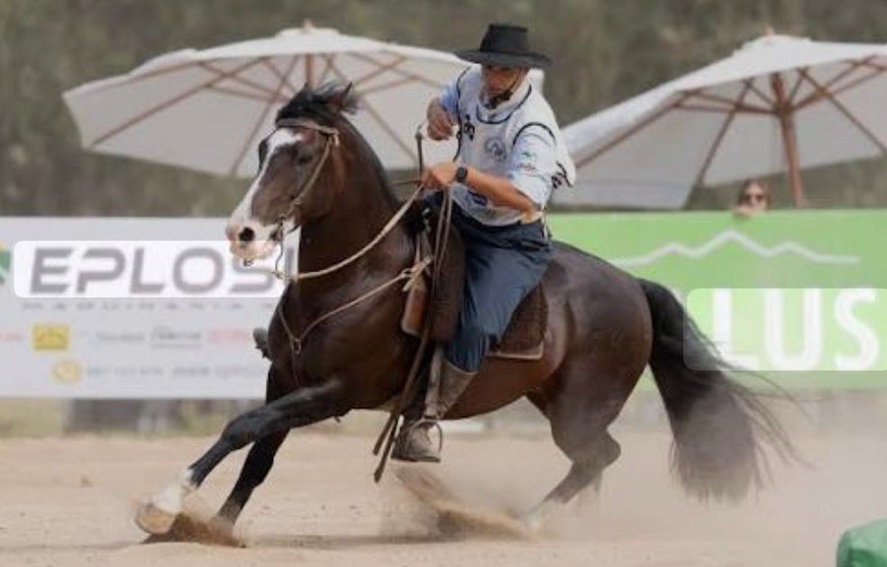 Del 3 al 10 de mayo, Uruguay recibe el Mundial de Caballos Criollos