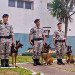 El trabajo de las unidades K9 con perros adiestrados en la búsqueda de drogas