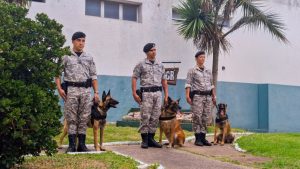 El trabajo de las unidades K9 con perros adiestrados en la búsqueda de drogas