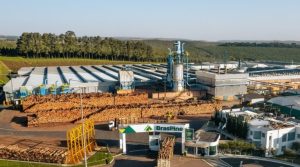 BrasPine avanza en Rivera con una inversión de 250 millones de dólares y prevé operar en 2027